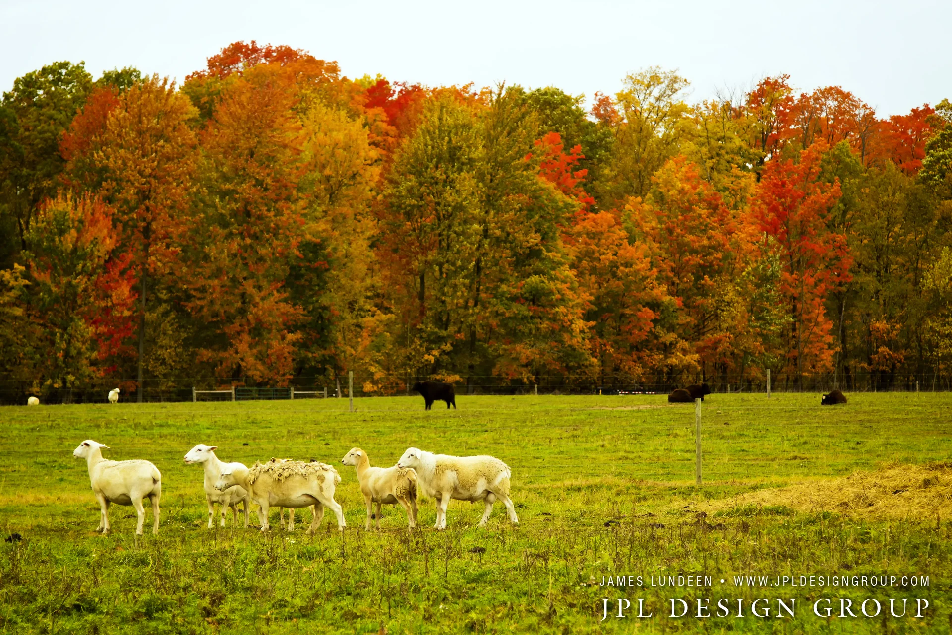 Fall In Michigan Part Two