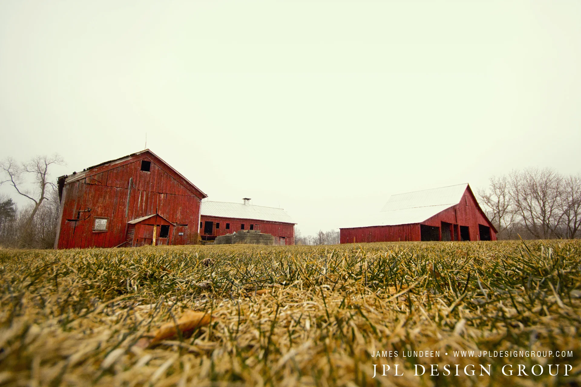 Spring Is On The Way