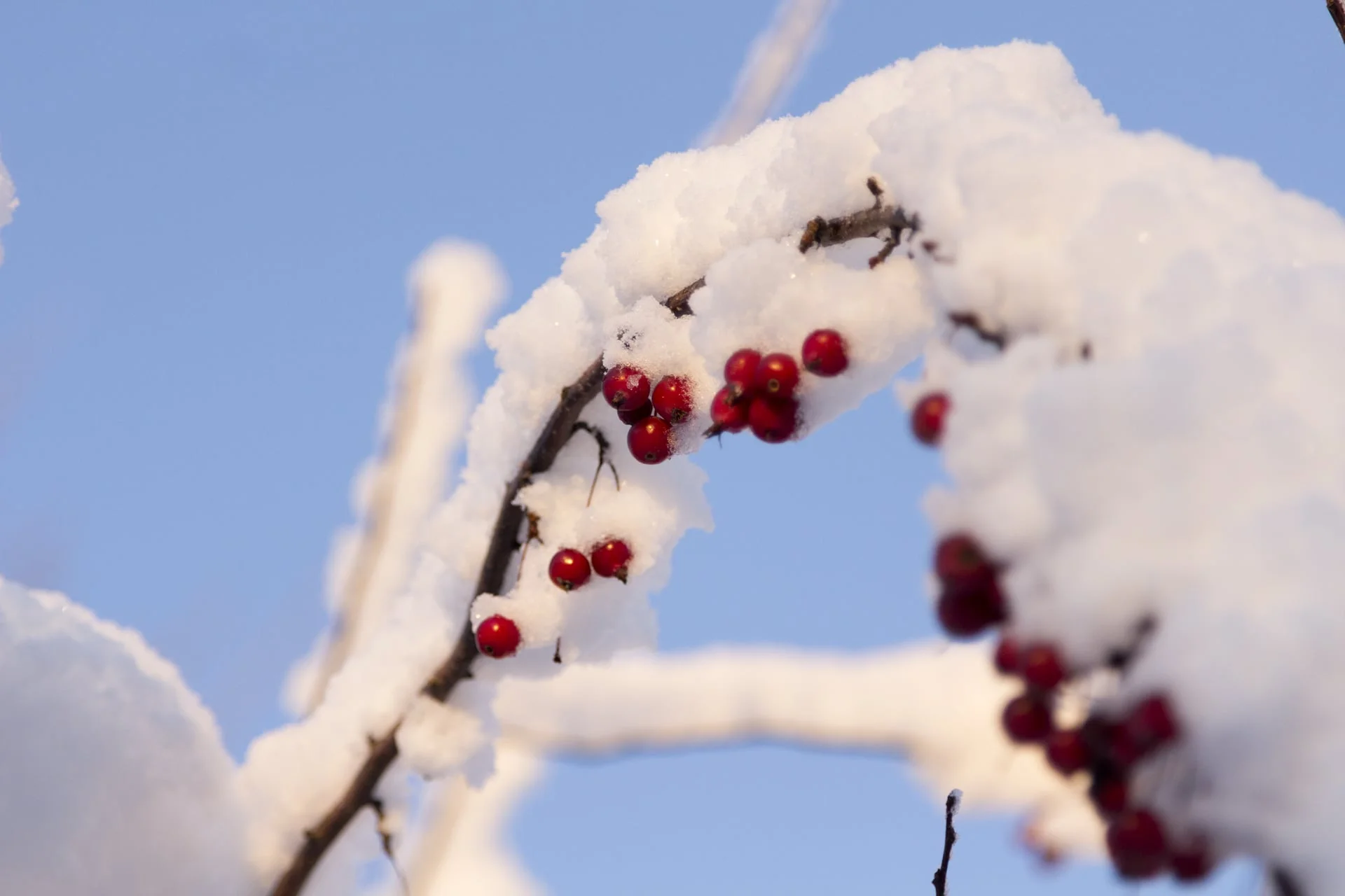 Posting Because I Haven't Posted