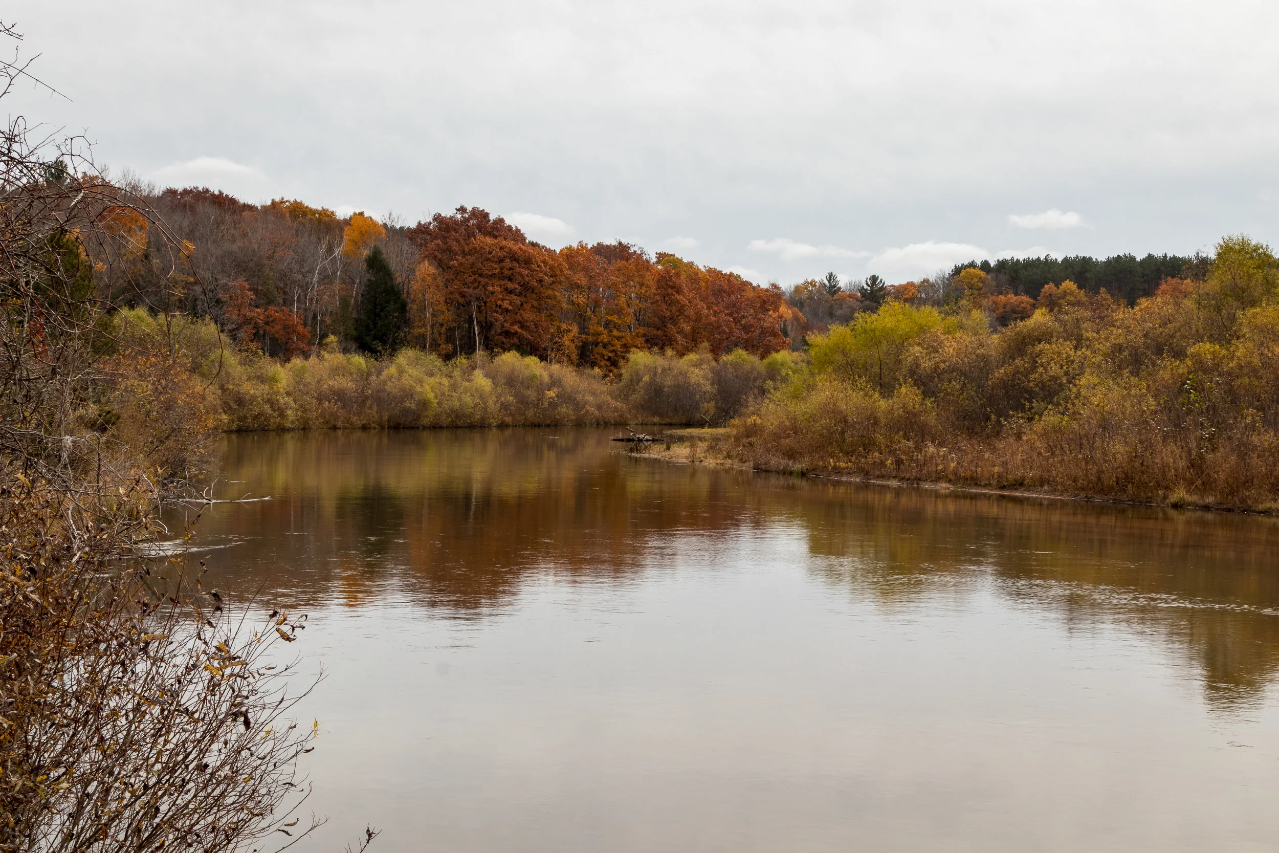 _MG_9678.jpg