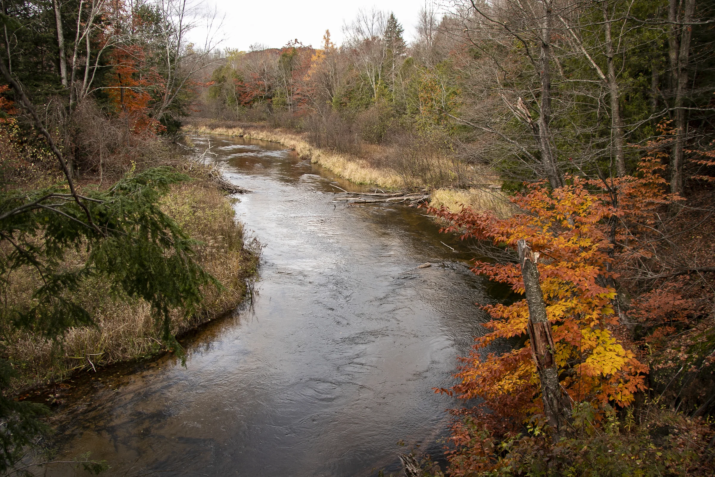 _MG_9698.jpg