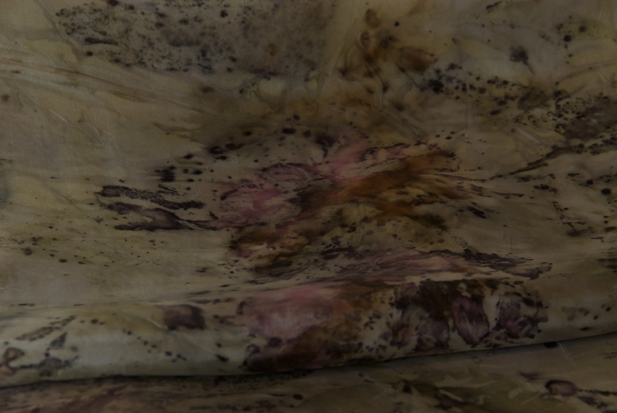2014-07-27_TJS_Botanica_19 - Version 2.jpg