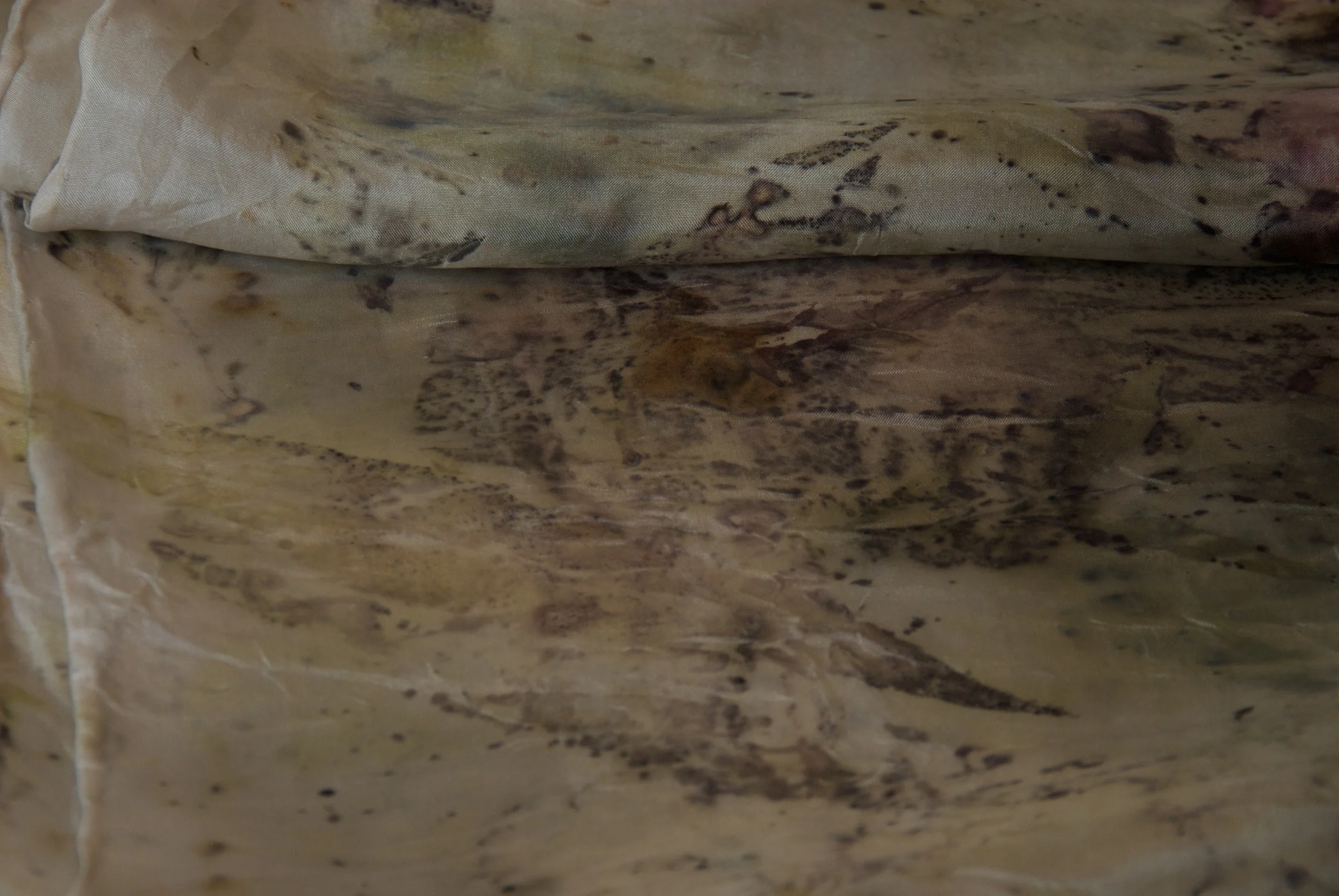 2014-07-27_TJS_Botanica_20 - Version 2.jpg