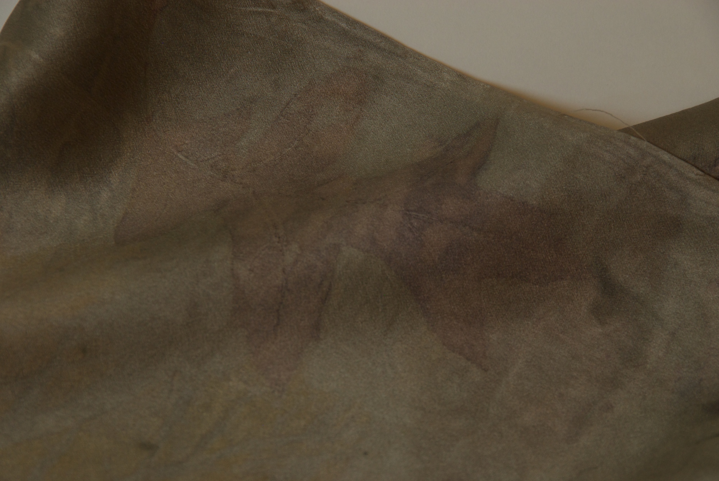 2014-07-27_TJS_Botanica_17 - Version 2.jpg