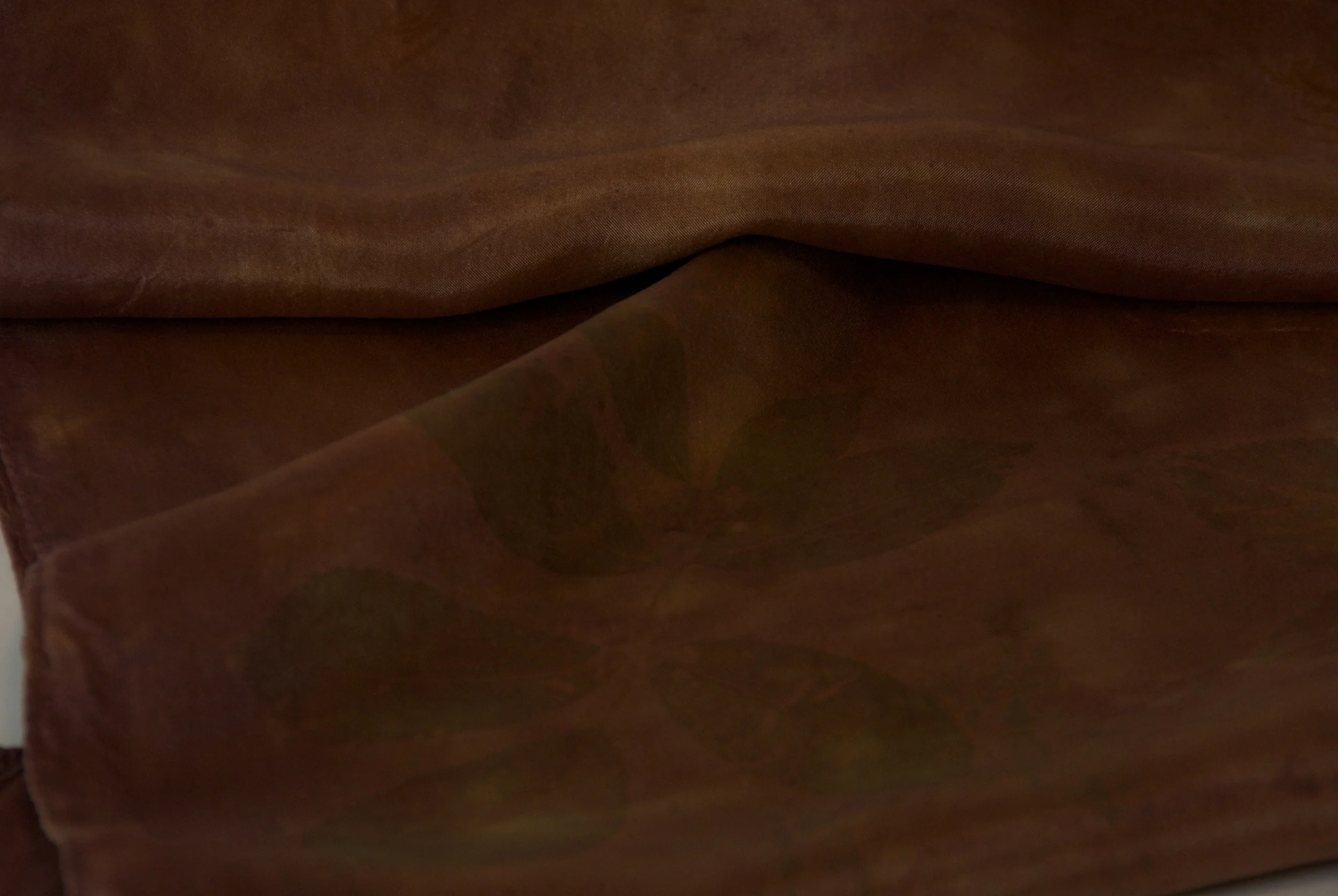 2014-07-27_TJS_Botanica_14 - Version 2.jpg