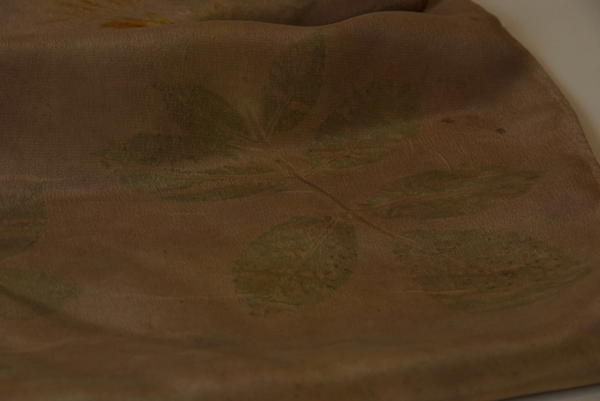 2014-07-27_TJS_Botanica_10 - Version 2.jpg