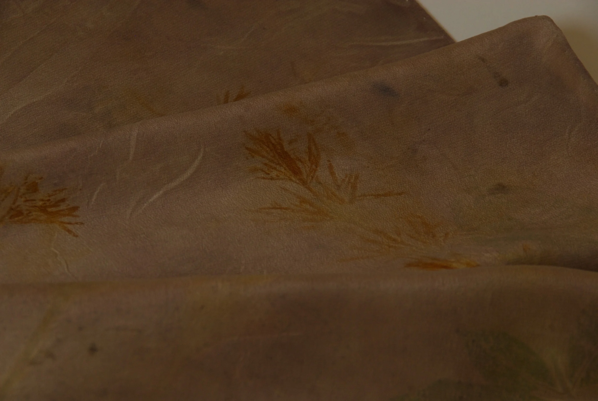 2014-07-27_TJS_Botanica_9 - Version 2.jpg