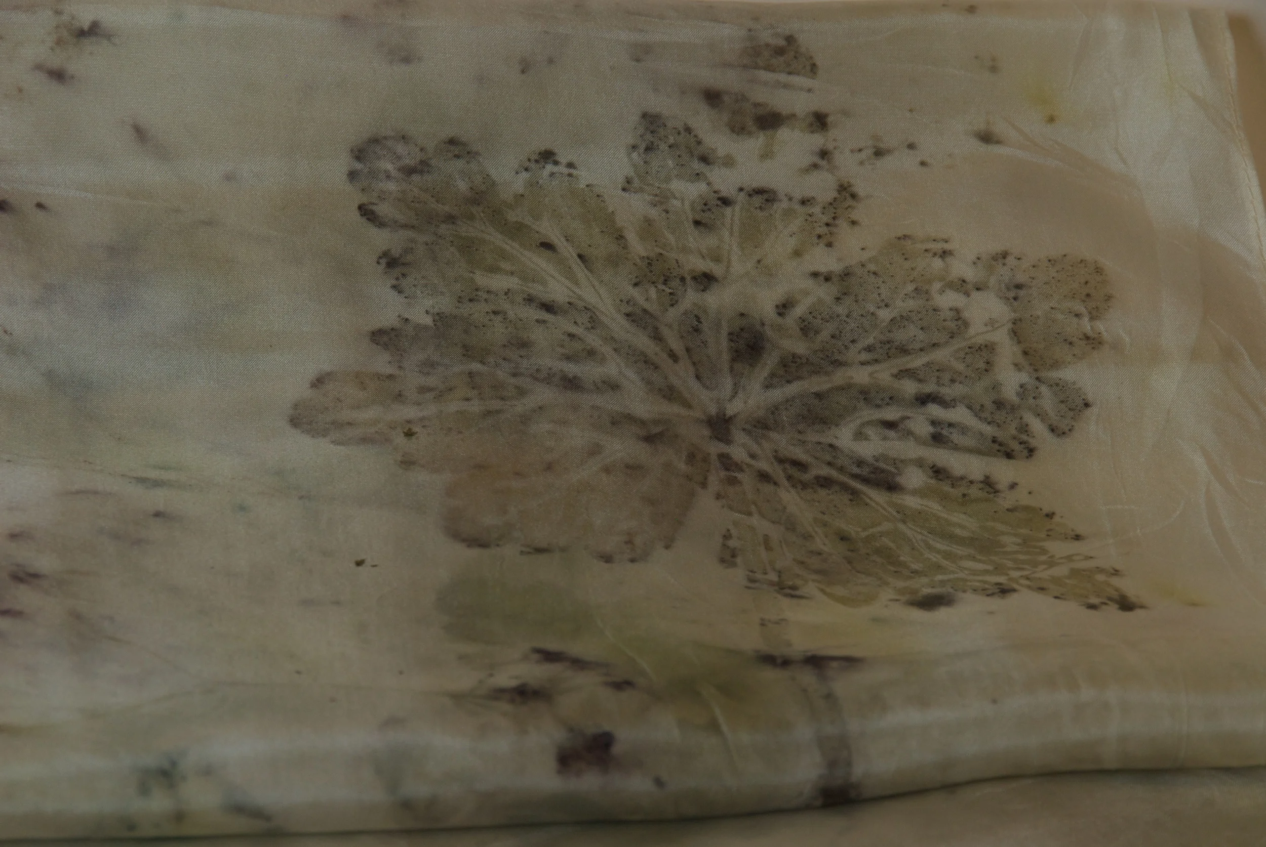 2014-07-27_TJS_Botanica_5 - Version 2.jpg