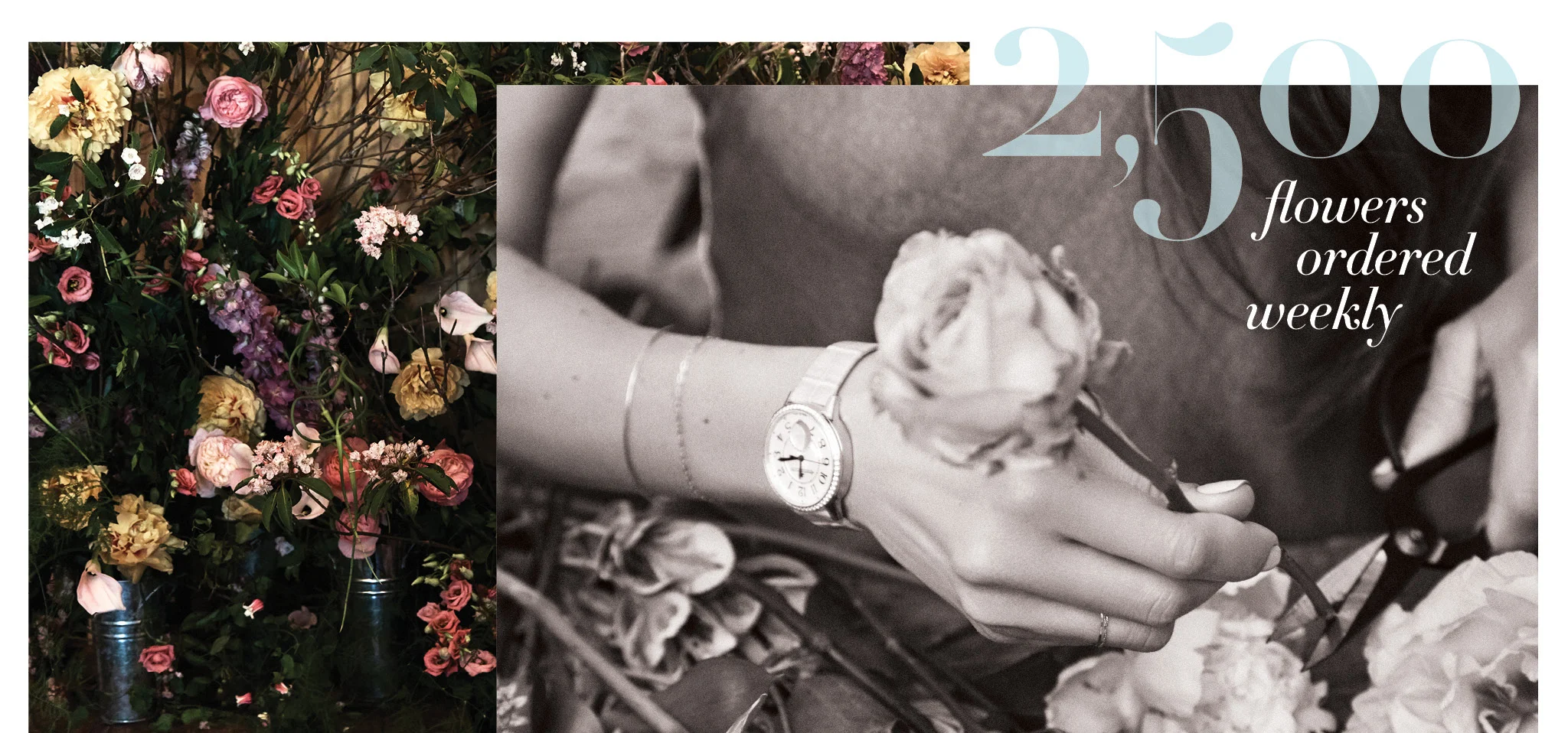 Jaeger-LeCoultre x Harper's Bazaar