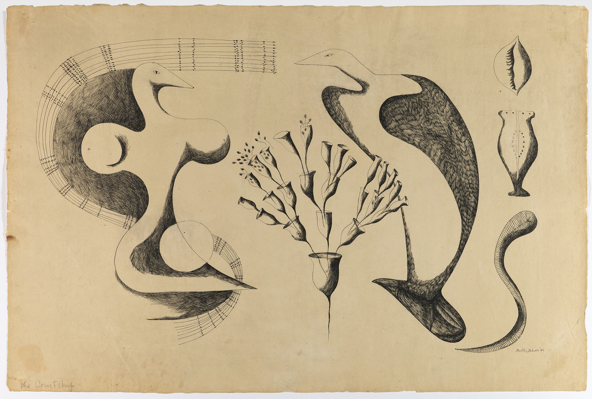 Drawing of abstract birdlike shapes in a mating show