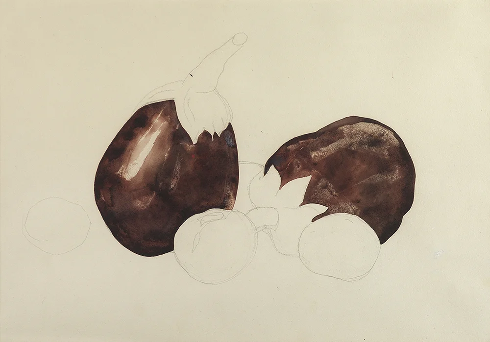 Drawing and watercolor of two eggplants 