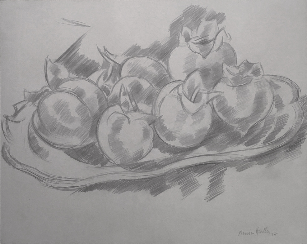 Pencil drawing of pomegranates