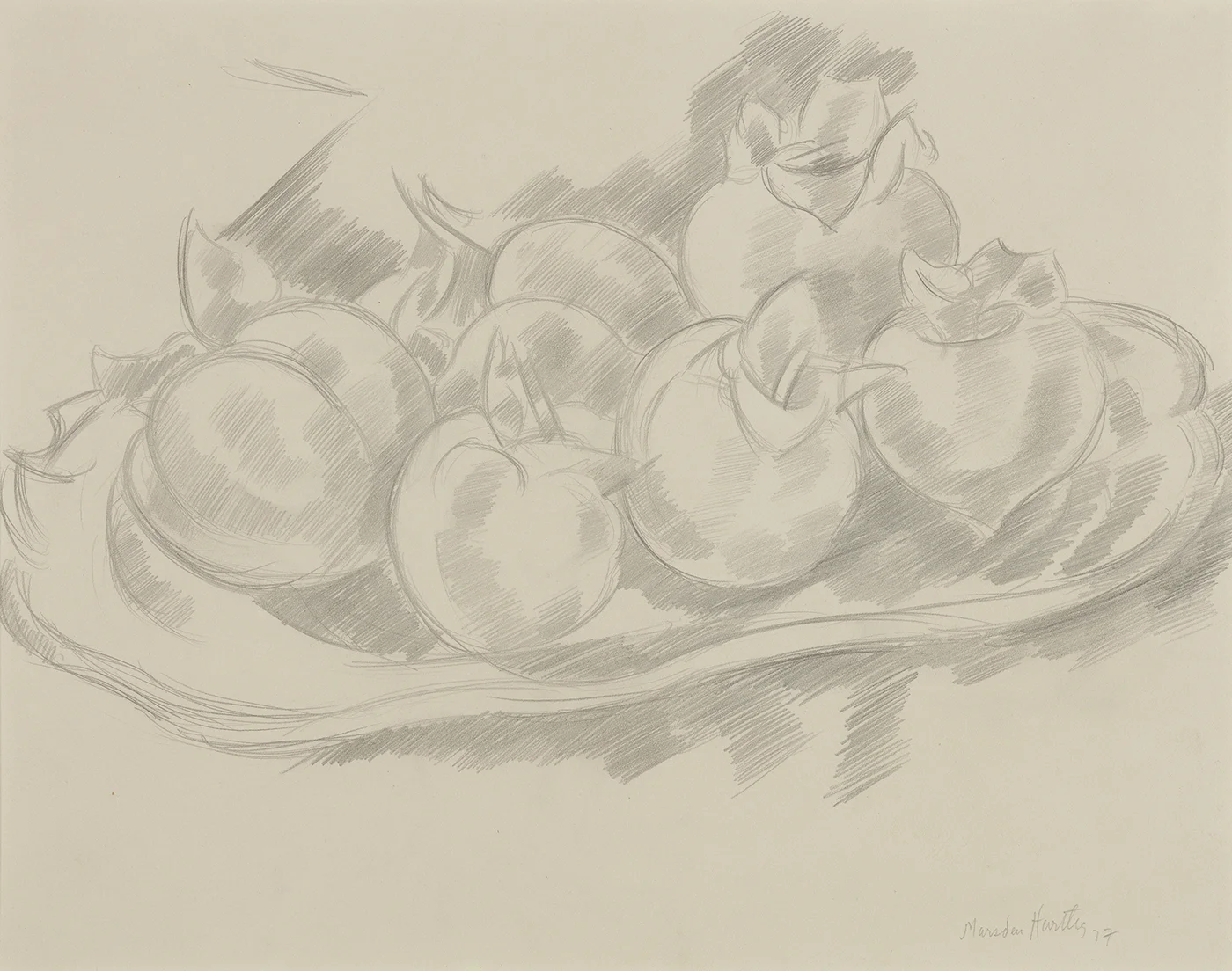 Pencil drawing of pomegranates