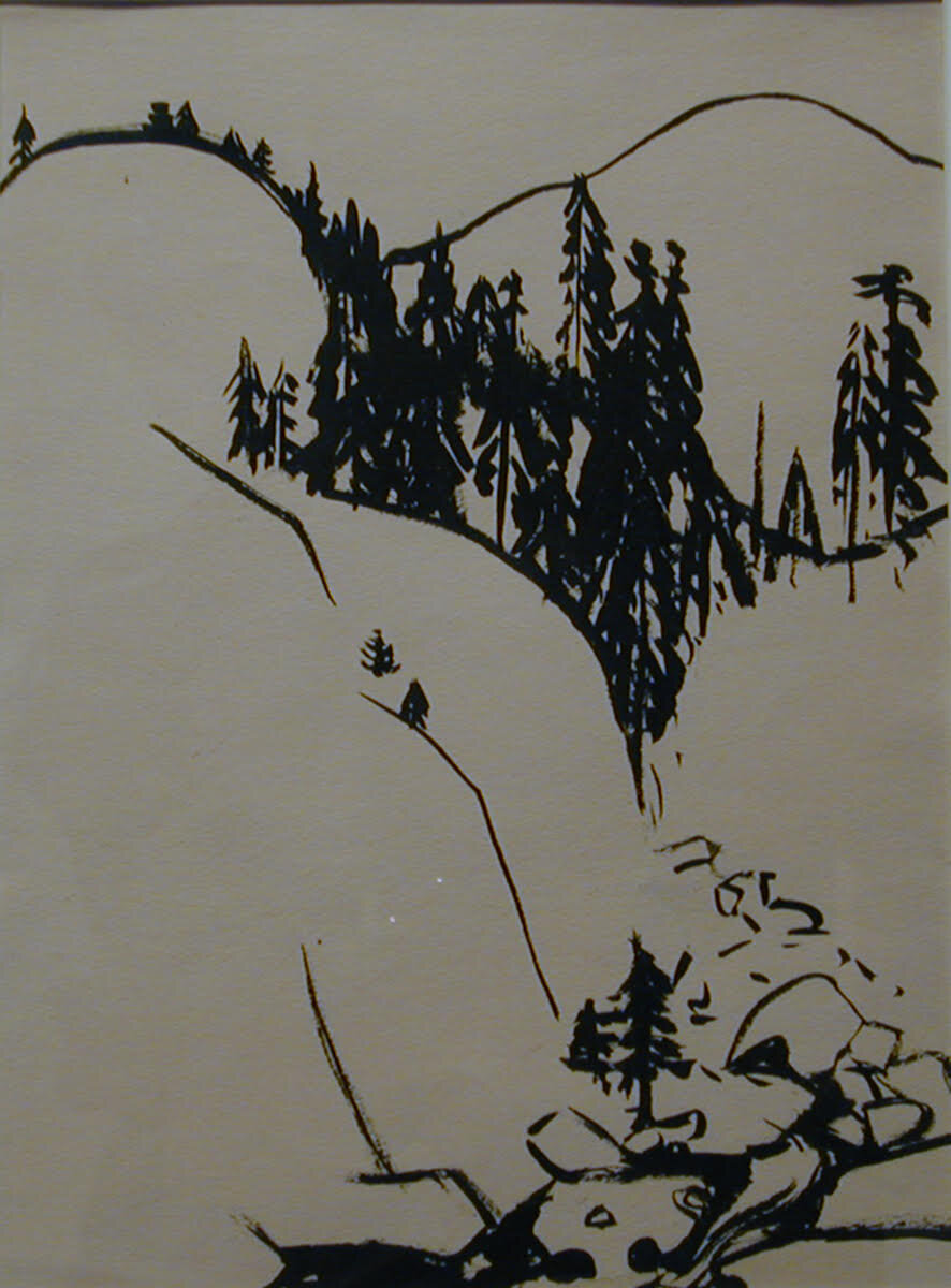 Ink drawing of stream through hills and forest