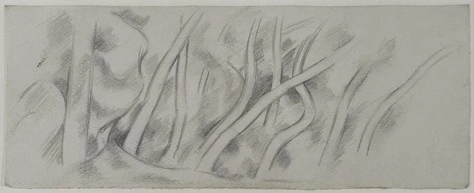 Marsden Hartley, Woods 1 (Tree Study), 1927