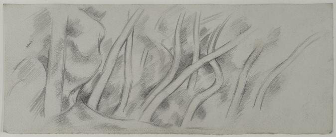 pencil sketch of tree branches