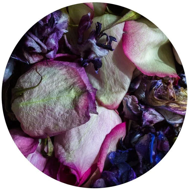 Circle photo of purple and pink flowers