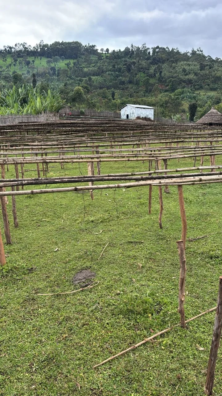 Bekele Yutute, empty beds.jpg