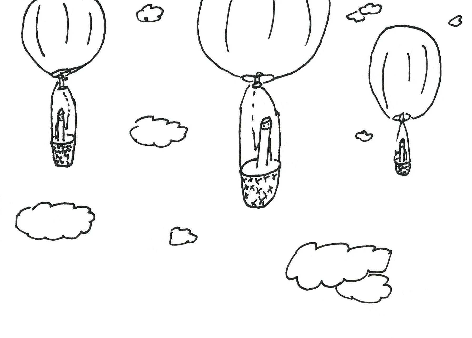 CB Air Balloons.jpeg
