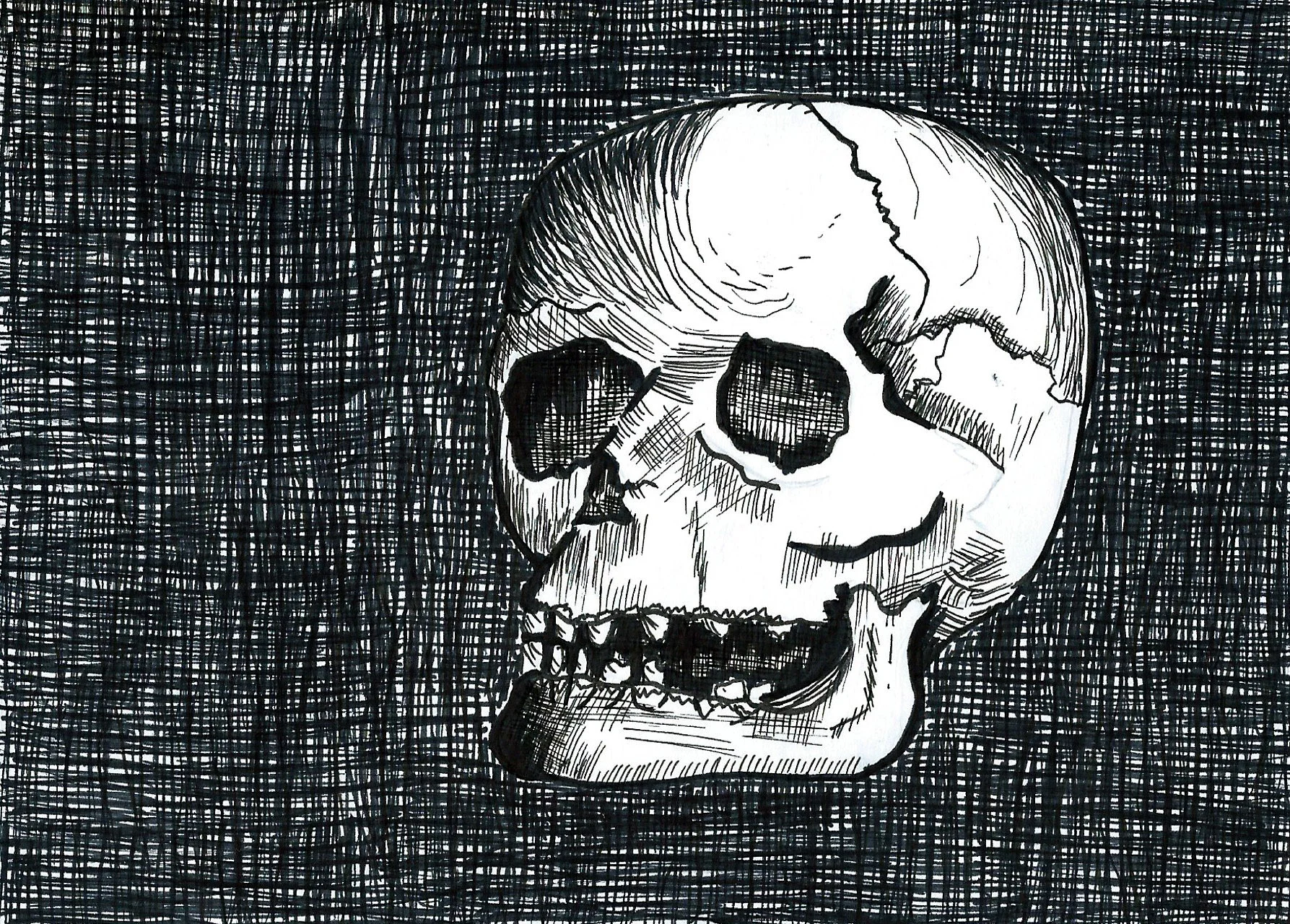 Skull.jpeg