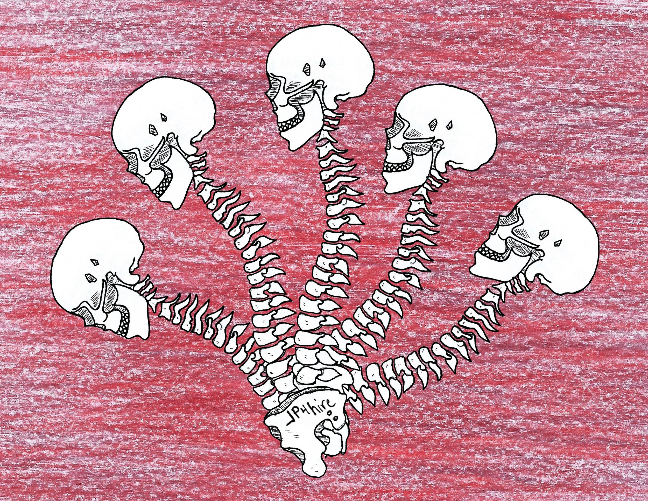 Spine.jpg