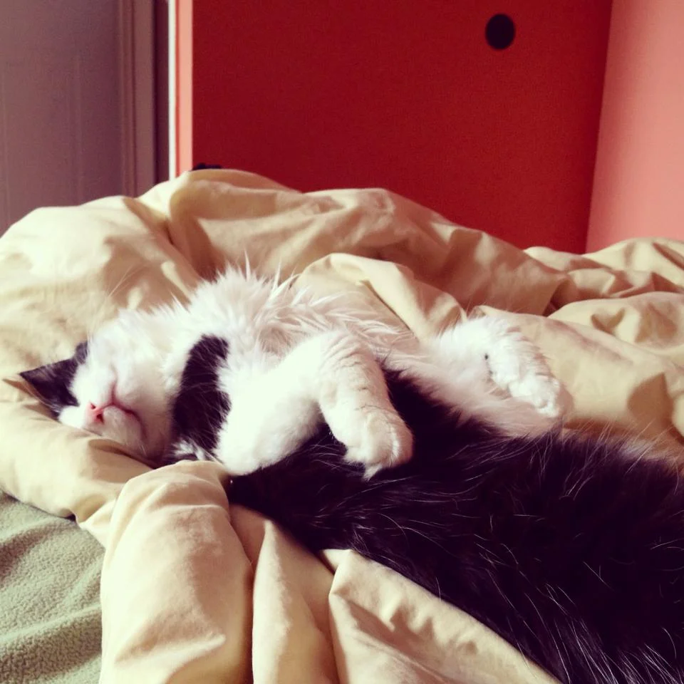 There are many great things to wake up to. This is one of them.
