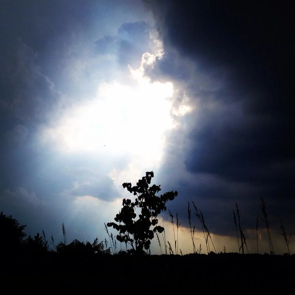 The sky 5 minutes before a storm. Taken at Devil's Hill in Cambridge.