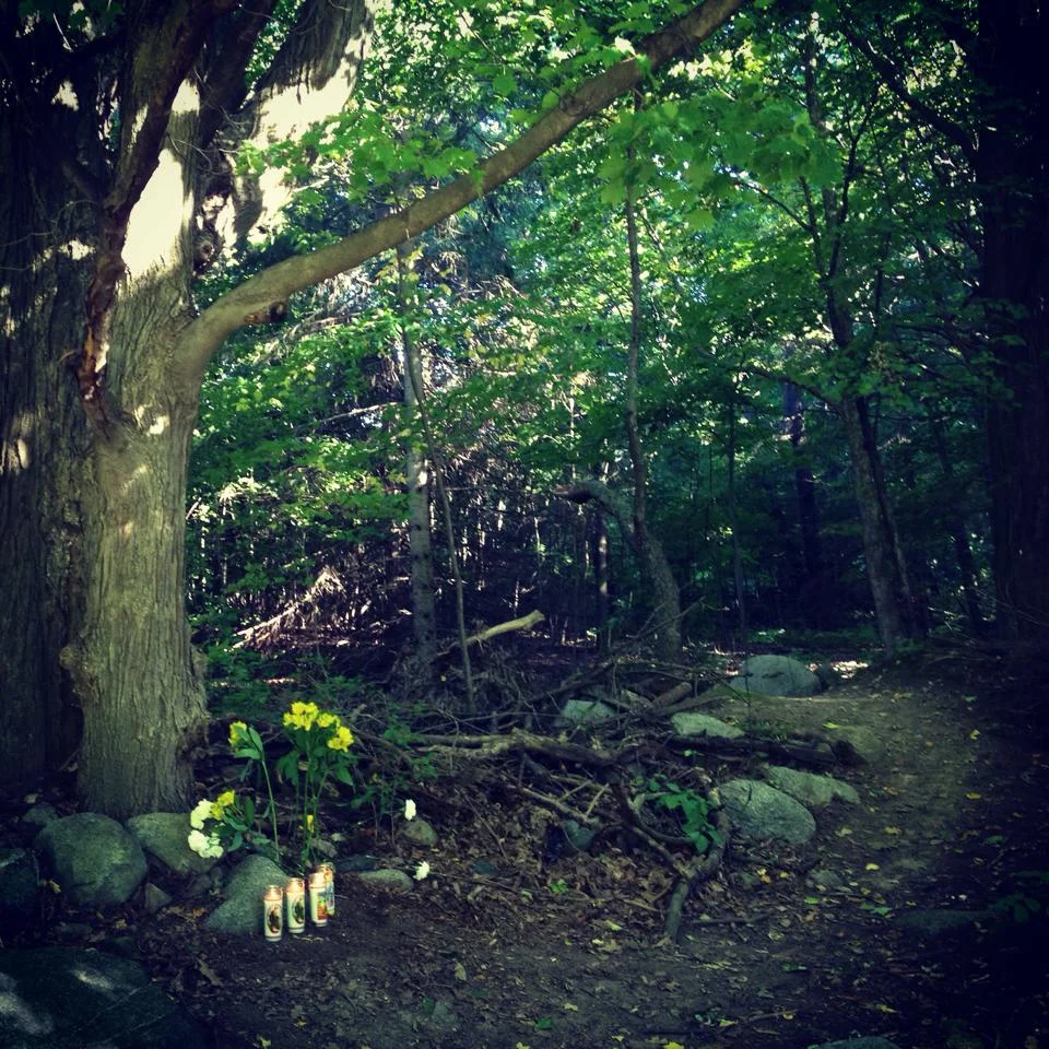 RIP to the young man who hung himself in the forest. I understand. xo