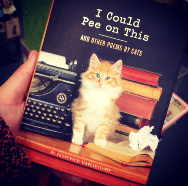 A treasure I spotted at the bookstore. 