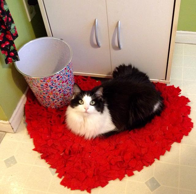 Chloe's new favourite spot.
