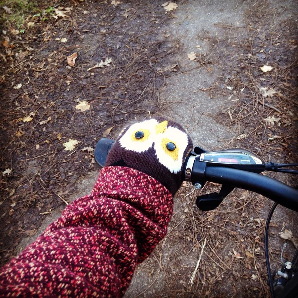 Owls make everything extra wonderful.