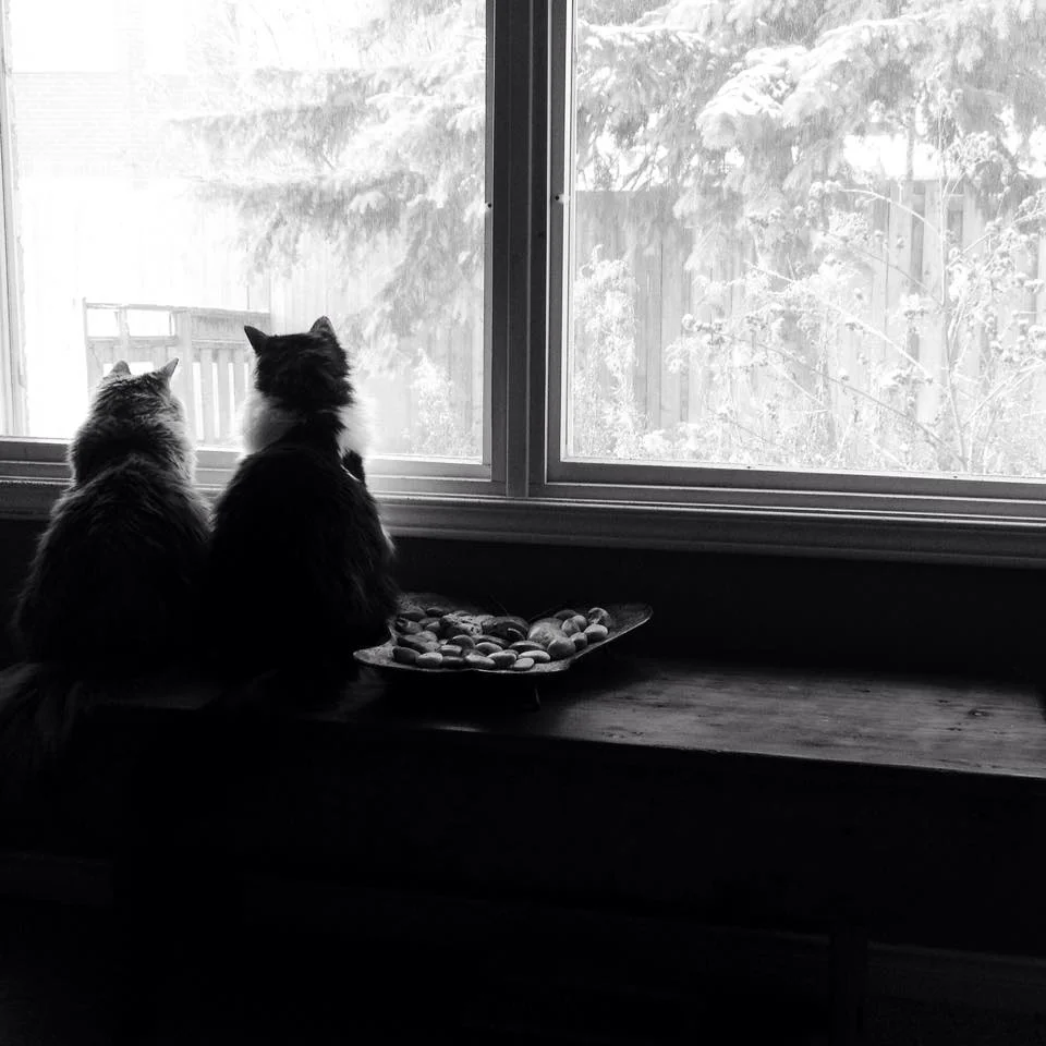 I remember (and miss) when Chloe was the littlest one.