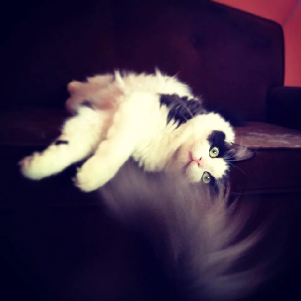 Miss Crazy Eyes.