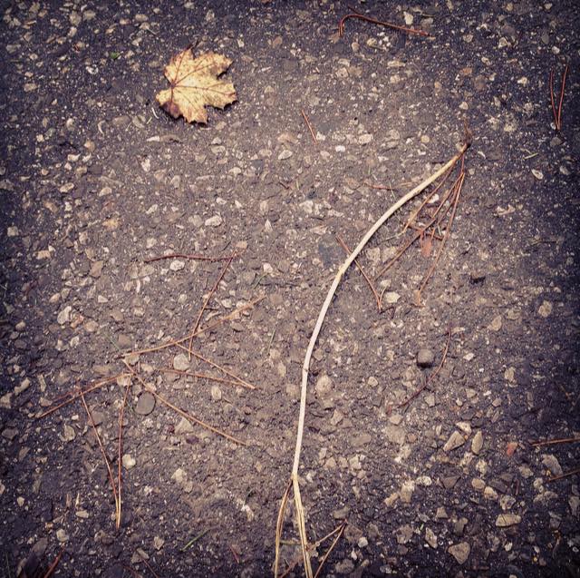 A beautiful fall day that felt a lot like spring.