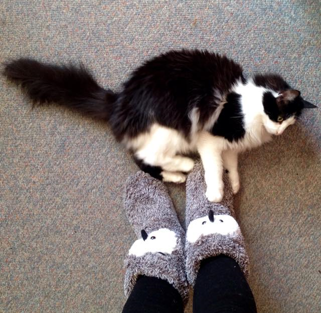 Chloe power kicked the shit out of my new slipper. Its twin remained unscathed.