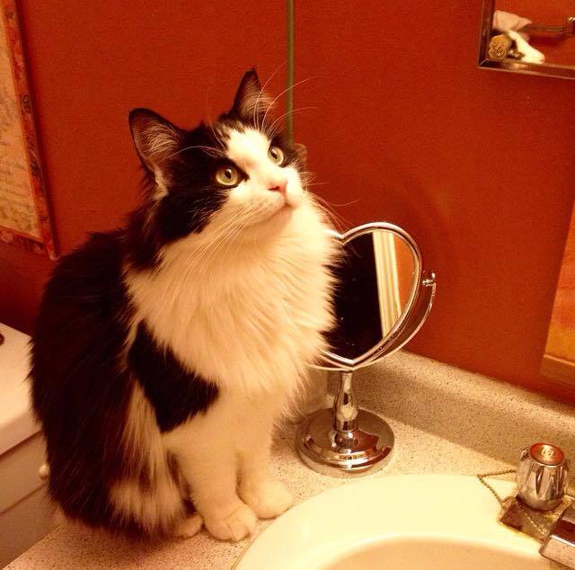 My girl looking like a model.