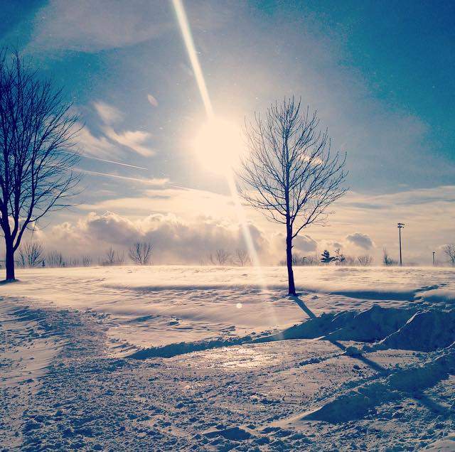 A chilly and gorgeous day in Cambridge.