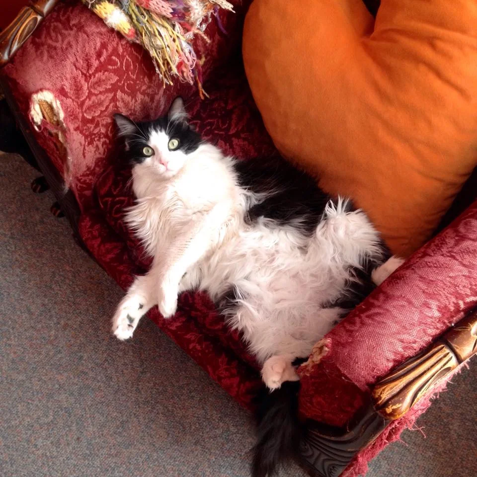 Chloe caught unawares.