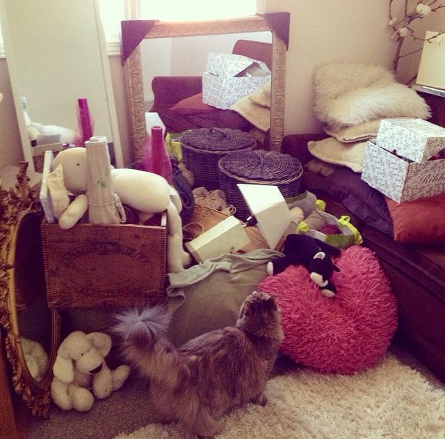 All packed up and ready to go! Zoe wants to know whats going on.