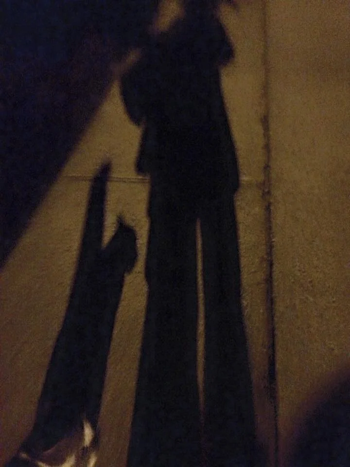 A random kitty walking with me to the hill to watch meteors