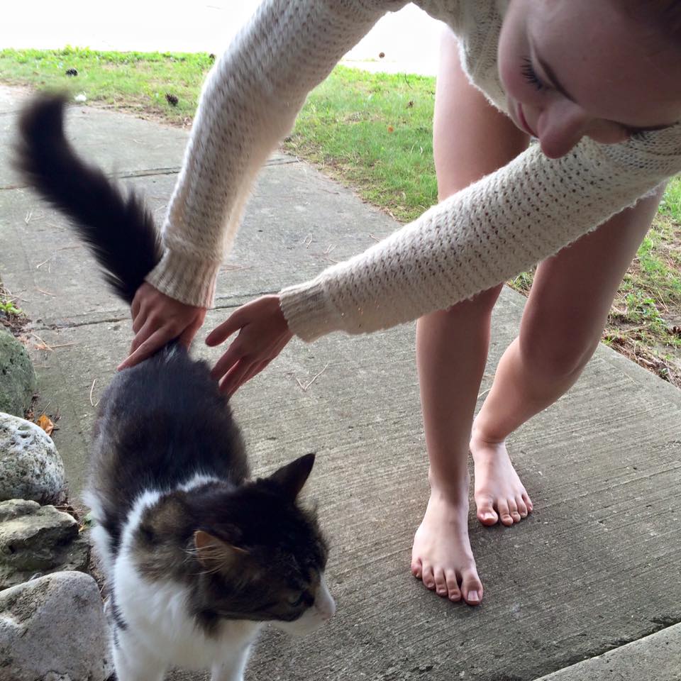 A random kitty saying goodbye to Paige