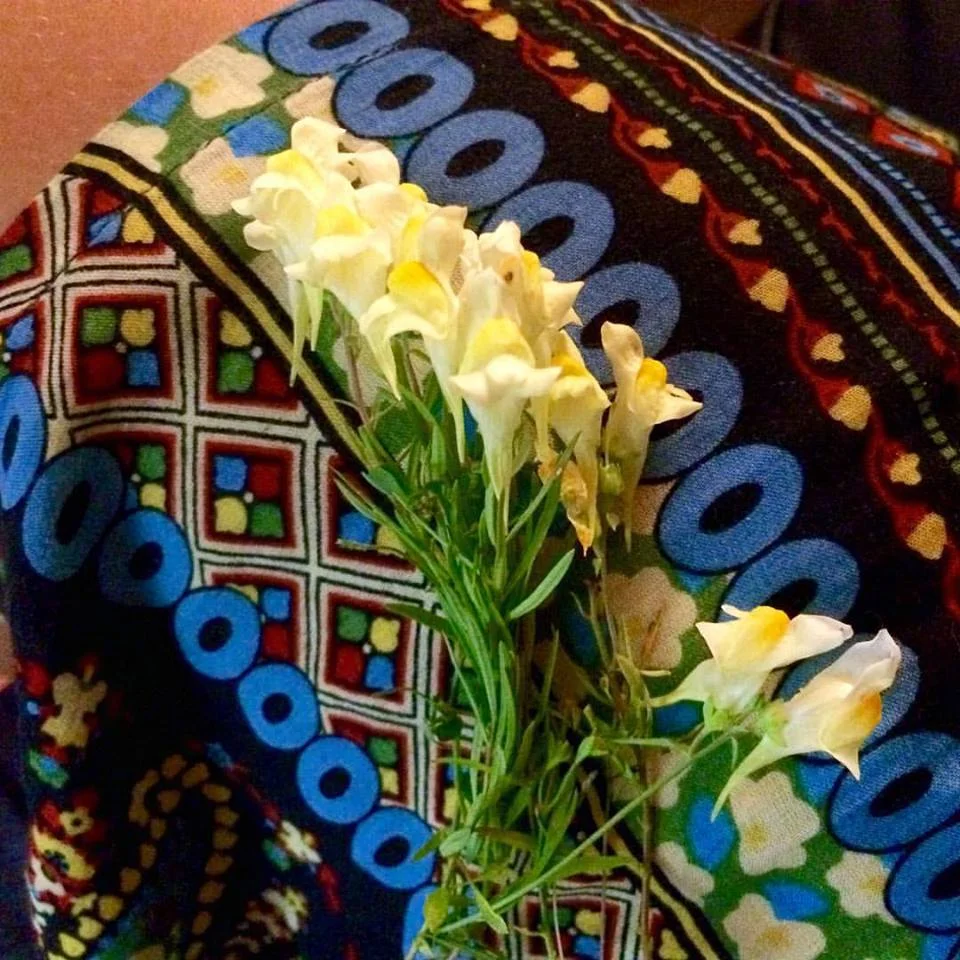 Flowers picked for me by a handsome fella 