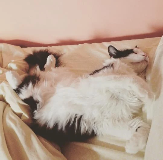 Sunday vibes