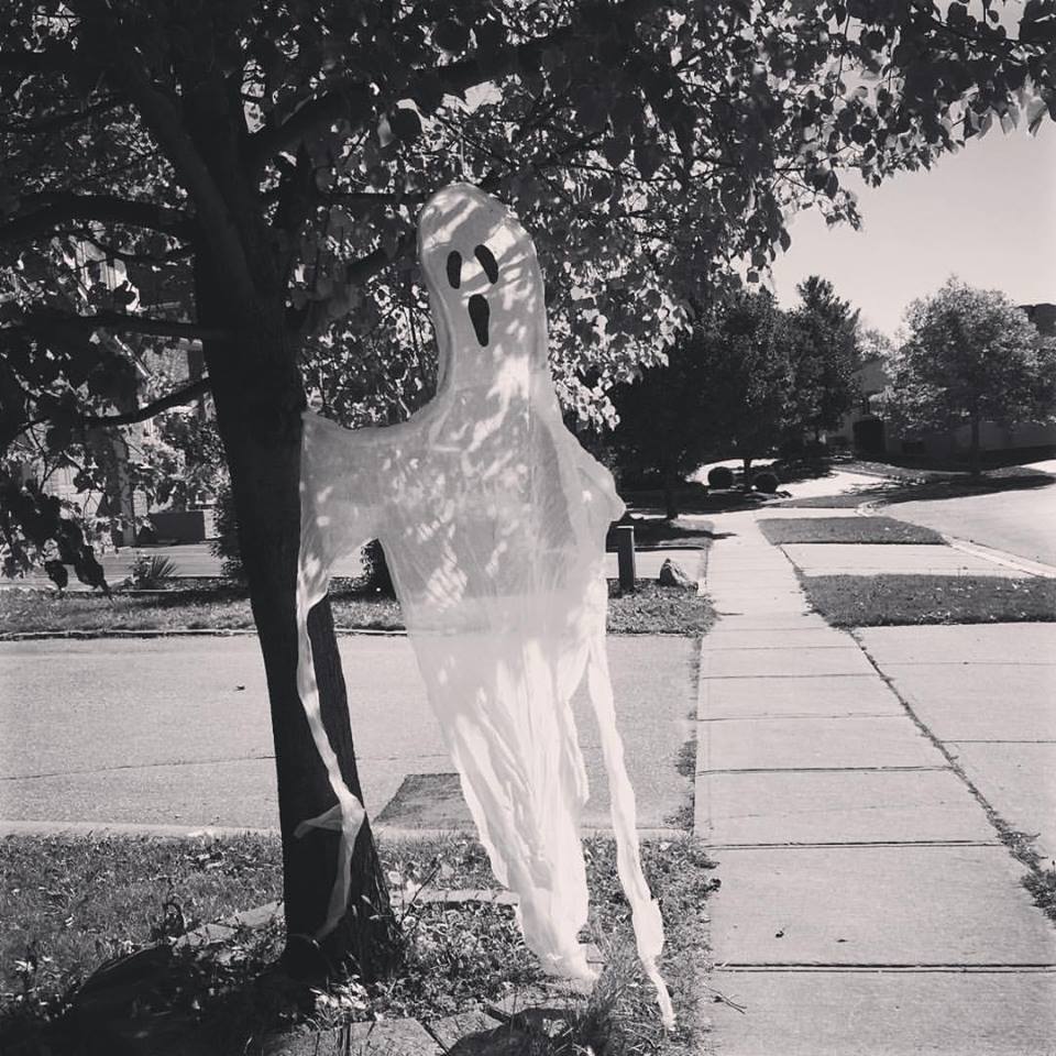 A spooky treasure on my walk 