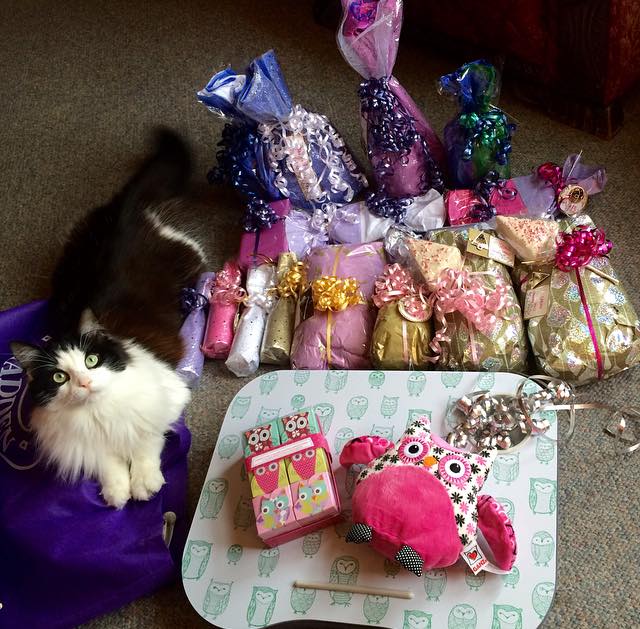 Chloe hanging out with Paige's beautiful wrapping + the owl gifts from my girl