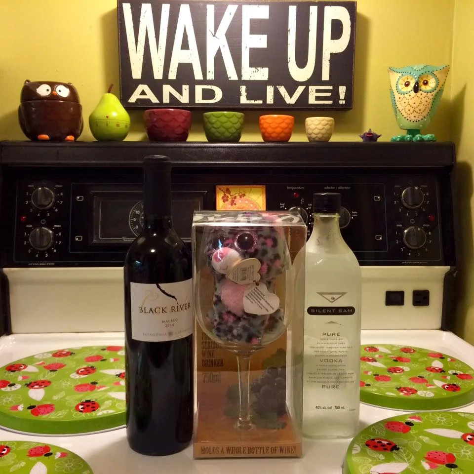 The makings of a wild night. Birthday gifts from my loves.
