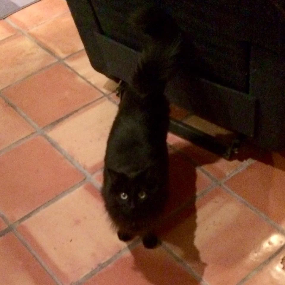 My new friend, Moon