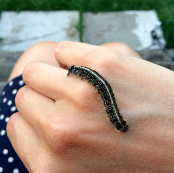 A new friend 