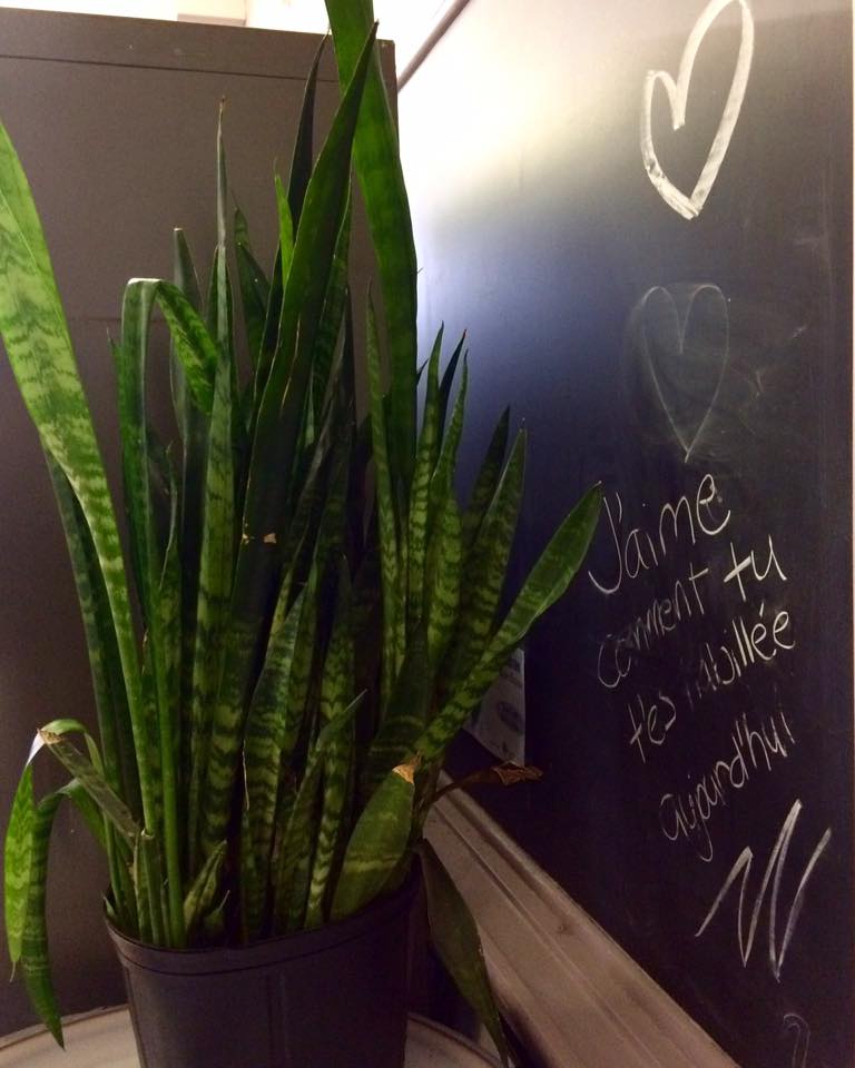 A sweet note in the cafeteria