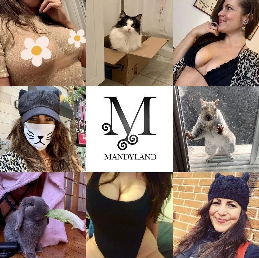 October/November (Visual Diary)